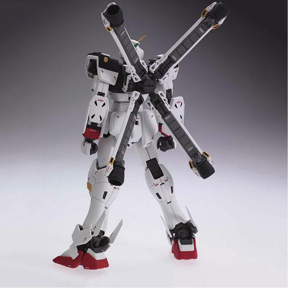 Gundam 1/100 MG Crossbone Gundam XM-X1 Crossbone Gundam X1 Model Kit