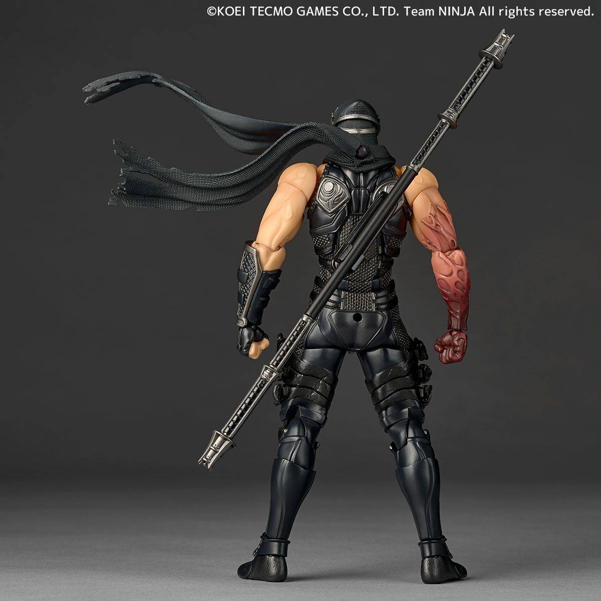 Amazing Yamaguchi Revoltech Figure Complex Ryu Hayabusa Ninja Gaiden 3: Razor's Edge NR087