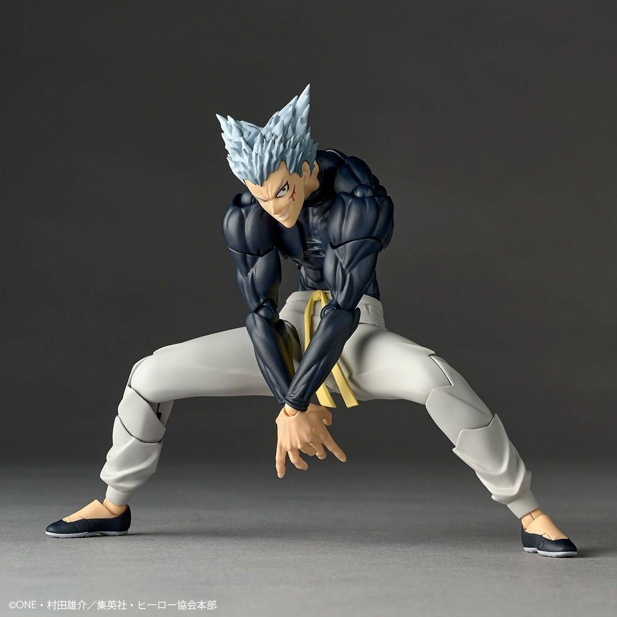 Amazing Yamaguchi Revoltech Figure Garou One Punch Man NR098
