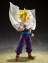 S.H. Figuarts Dragon Ball Z Super Saiyan Gohan (The Warrior Who Surpassed Goku) Action Figure