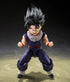 S.H. Figuarts Dragon Ball Z Gohan (Z-Fighters Group Base Ver. A) Limited Edition With Bonus Action Figure
