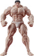 DIGACTION 1/24 Baki Son of Ogre Kaoru Hanayama