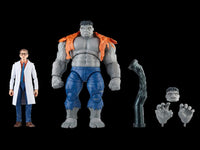 Marvel Legends 60th Anniversary Avengers Beyond Earth's Mightiest Gray Hulk and Dr. Bruce Banner Two Pack Action Figure