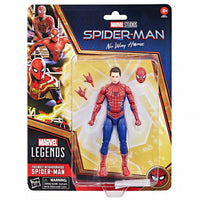 Marvel Legends Spider-Man No Way Home Friendly Neighborhood Tobey Maguire Action Figure