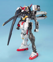 Gundam 1/100 MG Steel 7 XM-X1 Crossbone Gundam X-1 Full Cloth Model Kit