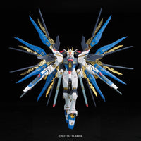 Gundam 1/144 RG #14 Gundam Seed Destiny ZGMF-X20A Strike Freedom Gundam Model Kit