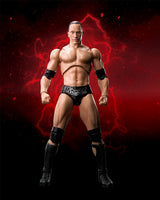S.H. Figuarts Dwayne The Rock Johnson WWE Action Figure