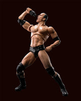 S.H. Figuarts Dwayne The Rock Johnson WWE Action Figure