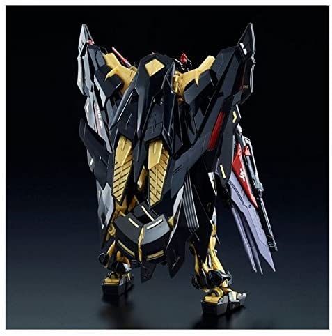 Gundam 1/144 RG MBF-P01-Re Gundam Astray Gold Frame Amatsu Rondo Gina Sahaku's use Model Kit Bandai Exclusive