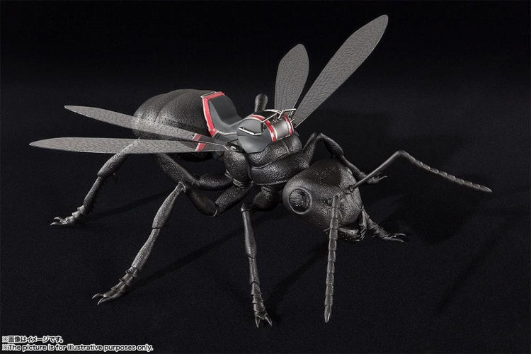 S.H. Figuarts Ant From Ant-Man And The Wasp Action Figure 2