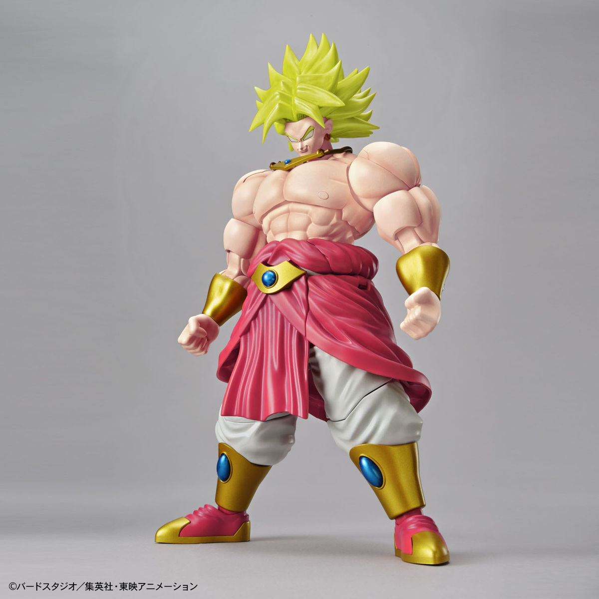 Figure-rise Standard Dragonball Legendary Super Saiyan Broly (New Packaging) Plastic Model Kit 5