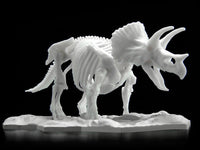 Bandai Dinosaur Limex Skeleton Triceratops Model Kit