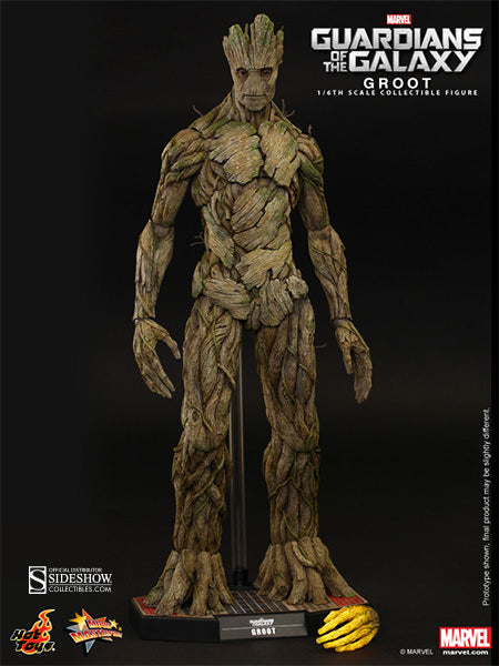 Hot Toys 1/6 Guardians of the Galaxy Movie Masterpiece Series Groot Sixth Scale Figure MMS253