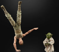 Hasbro Star Wars Black Series 40th Anniversary Empire Strikes Back Jedi Training Luke and Yoda Action Figure