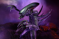NECA Alien vs. Predator Razor Claws Alien (Movie Deco) Action Figure