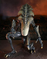 NECA Alien vs. Predator Chrysalis Alien (Movie Deco) Action Figure