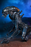 NECA Alien vs. Predator Arachnoid Alien (Movie Deco) Action Figure