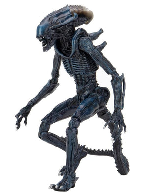 NECA Alien vs. Predator Arachnoid Alien (Movie Deco) Action Figure