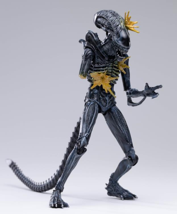 Hiya Toys 1/18 Aliens Alien Warrior (Battle Damaged Ver.) PX Exclusive Action Figure