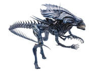 Hiya Toys 1/18 Alien vs. Predator AVP PX Exclusive Alien Queen Action Figure