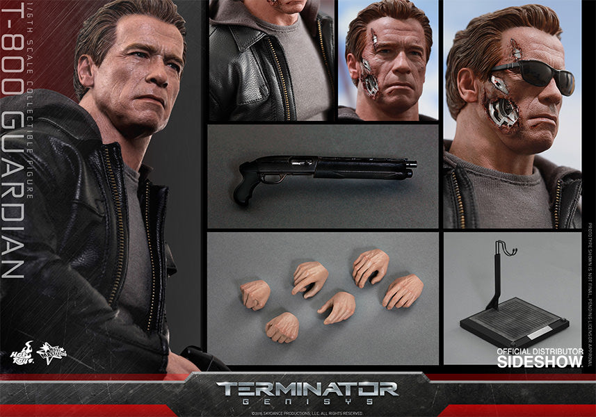 Hot Toys T-800 Guardian Terminator Genisys 12 Inch 1/6 Scale Action Figure MMS307