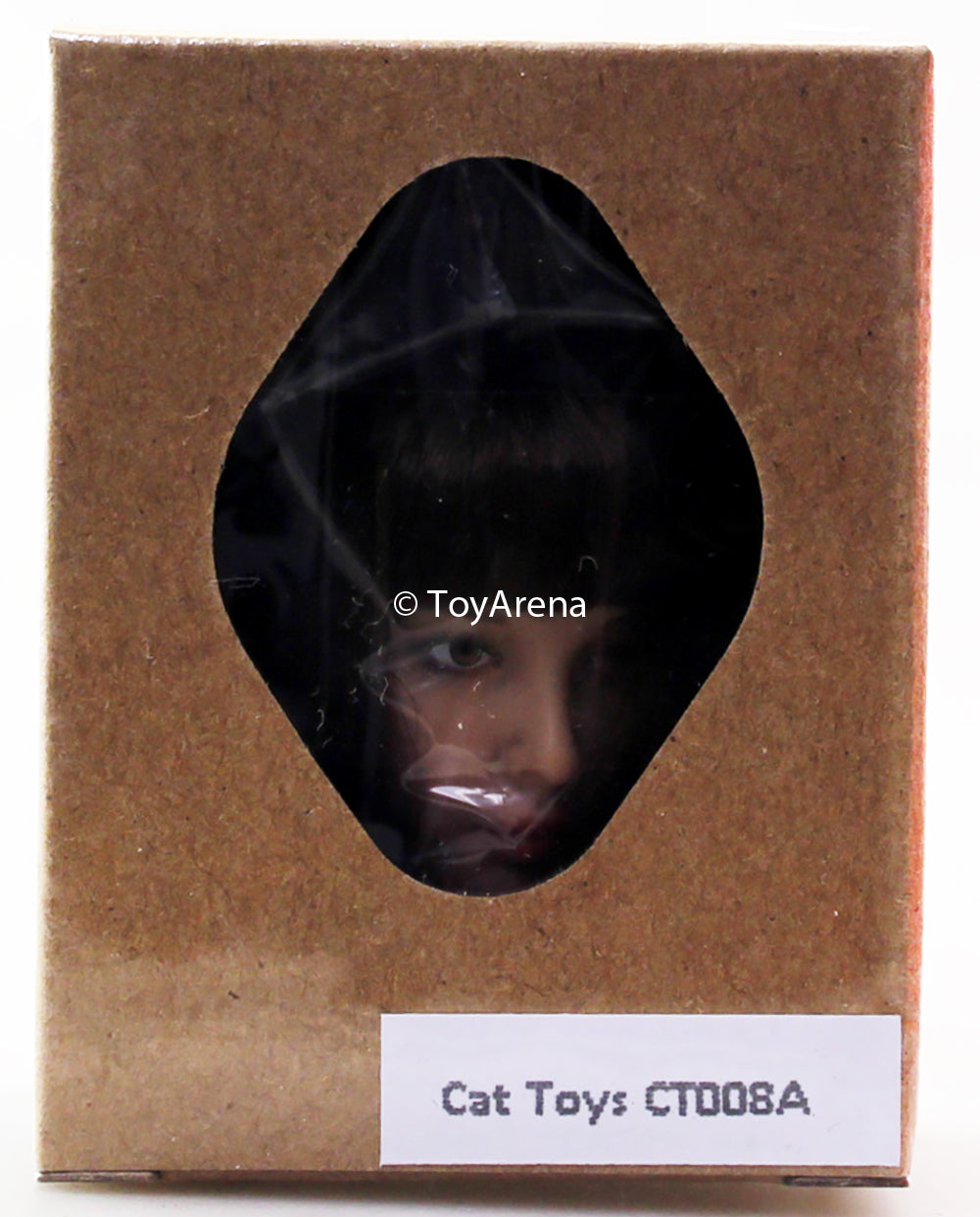 Cat Toys 1/6 CT-008A Female Asian Head Sculpt Scale Figure