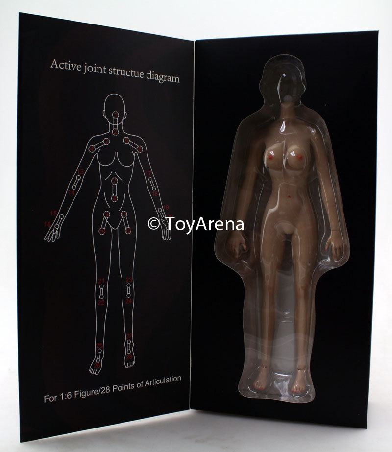 1/6 Jiaou Doll JOQ-10E-WS01 Large Bust Caucasian Pale Seamless Body With  Detachable Foot 3.0 * 2DBeat Hobby Store
