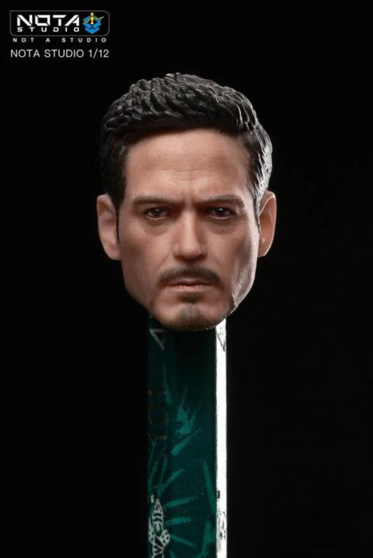 NOTA Studios Tony Stark Head for SHF Iron Man